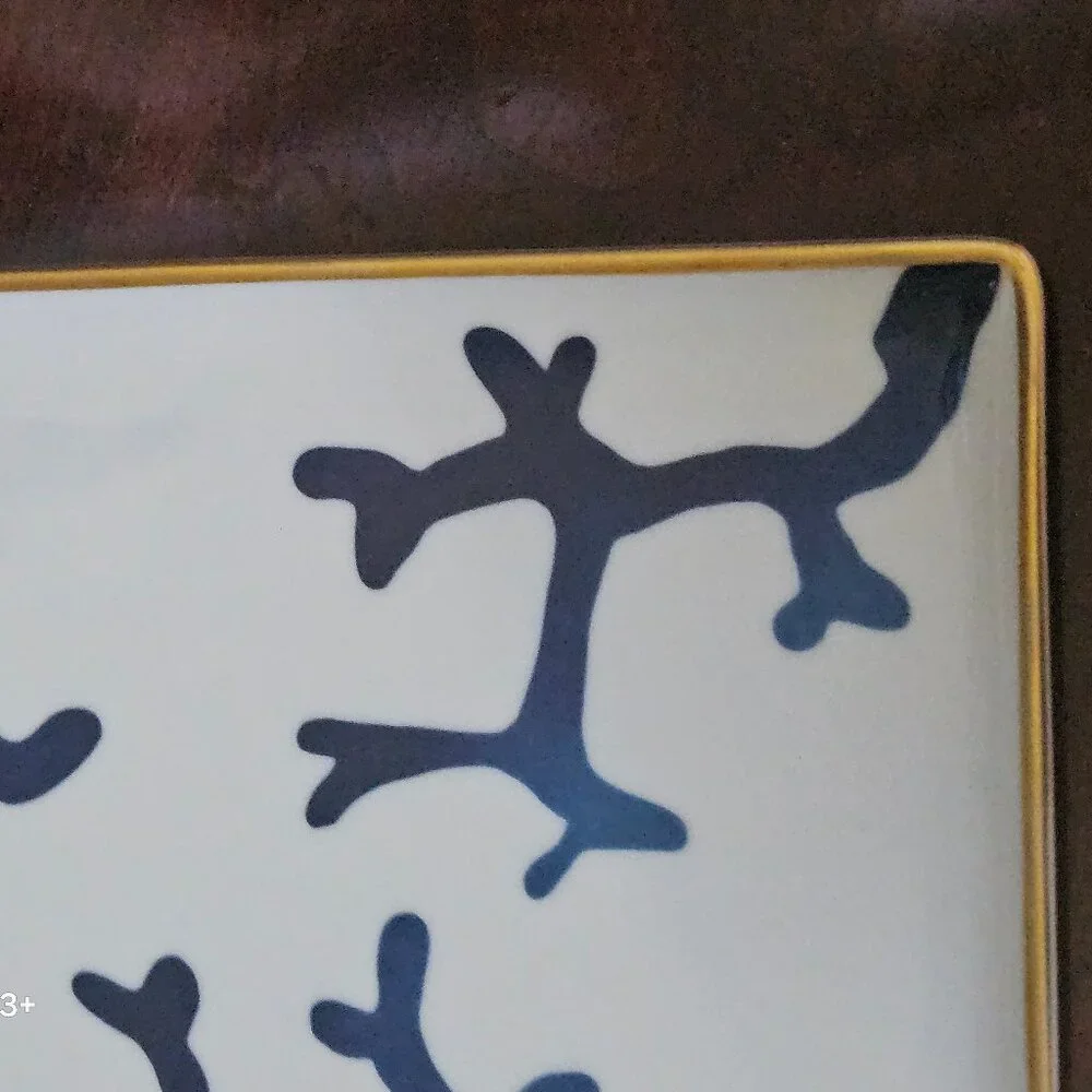 Raynaud Limoges this authentic
